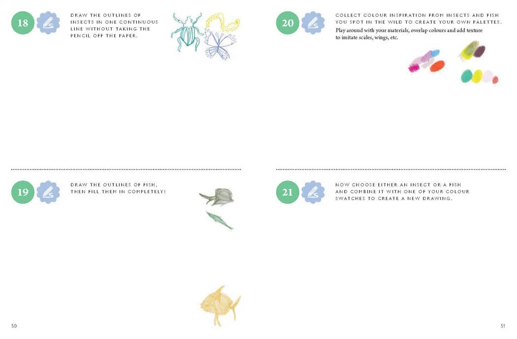 Drawing Nature: 100 Prompts, Projects and Playful Exercises