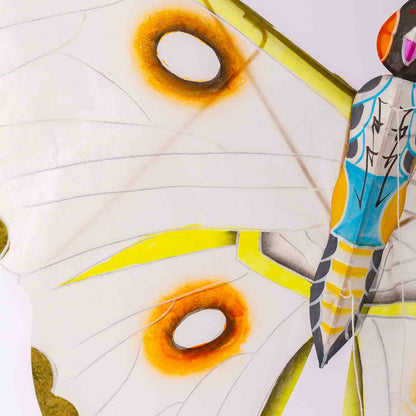 Miya Butterfly Kite
