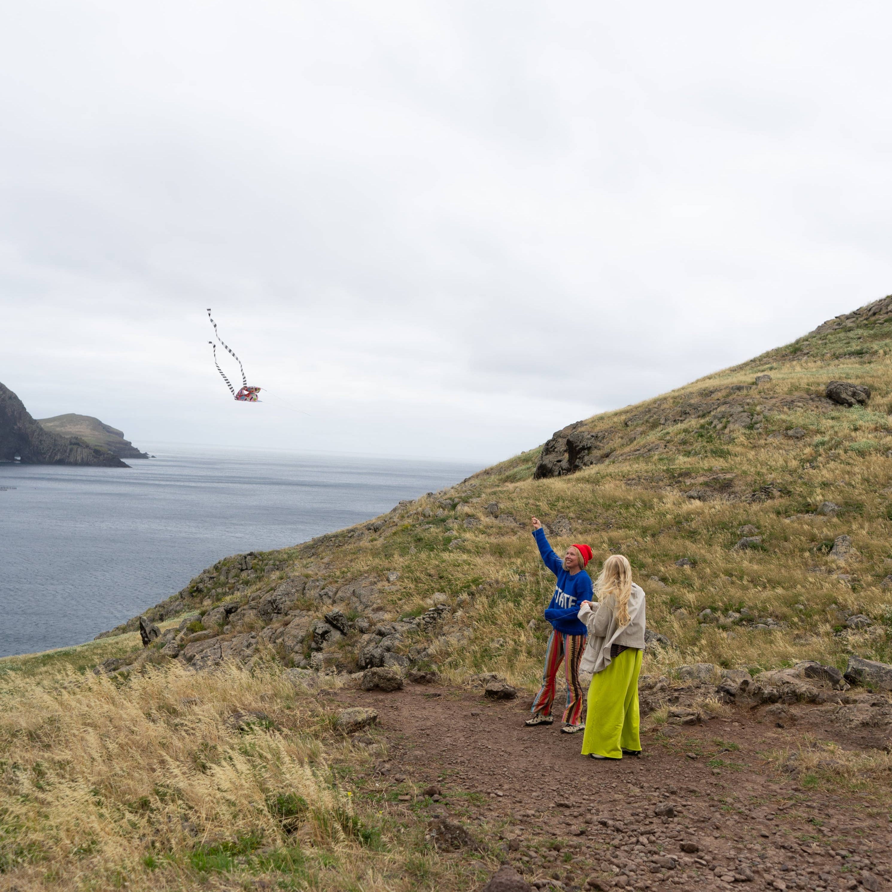 POCKET KITE / SPEEDY