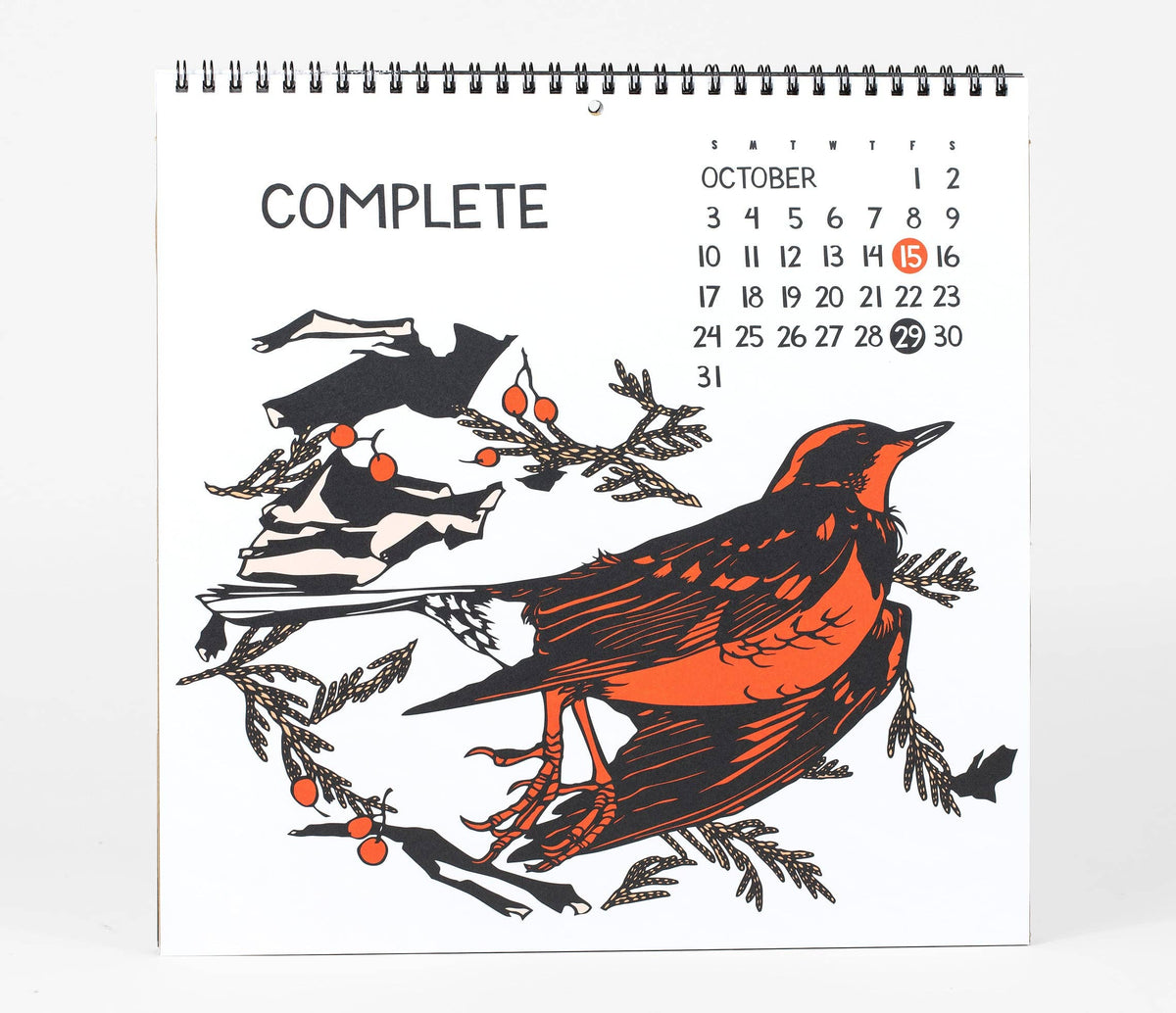 Nikki McClure Shall We Begin 2027 Wall Calendar