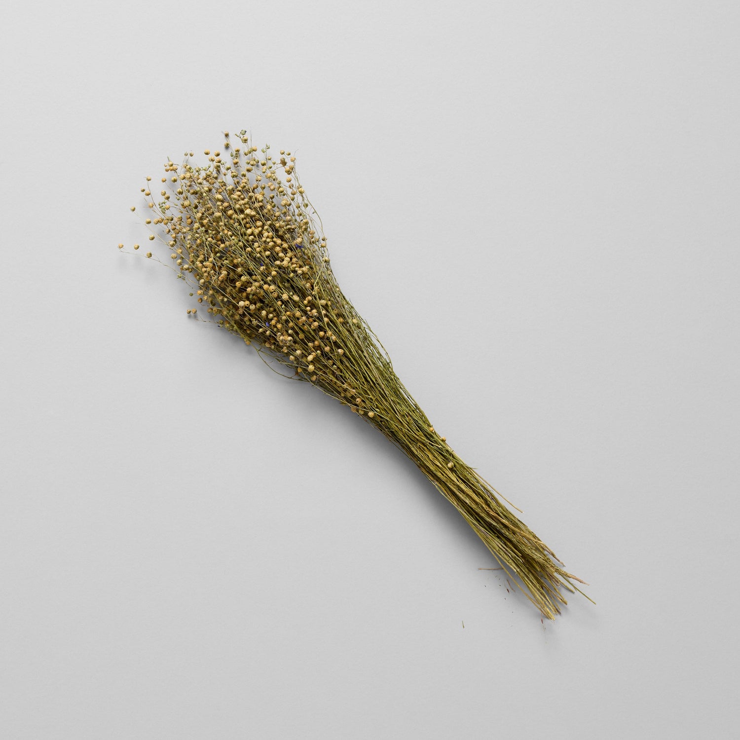 Dried Flax