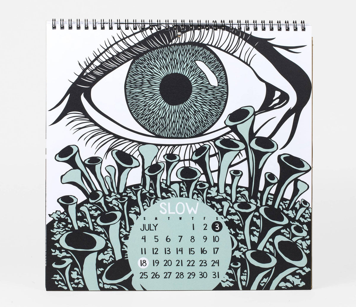 Nikki McClure Shall We Begin 2027 Wall Calendar