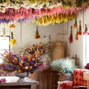 Designing with Dried Flowers