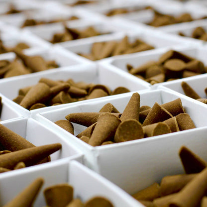 Albany Black Spruce Incense Cones