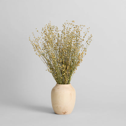 Dried Flax