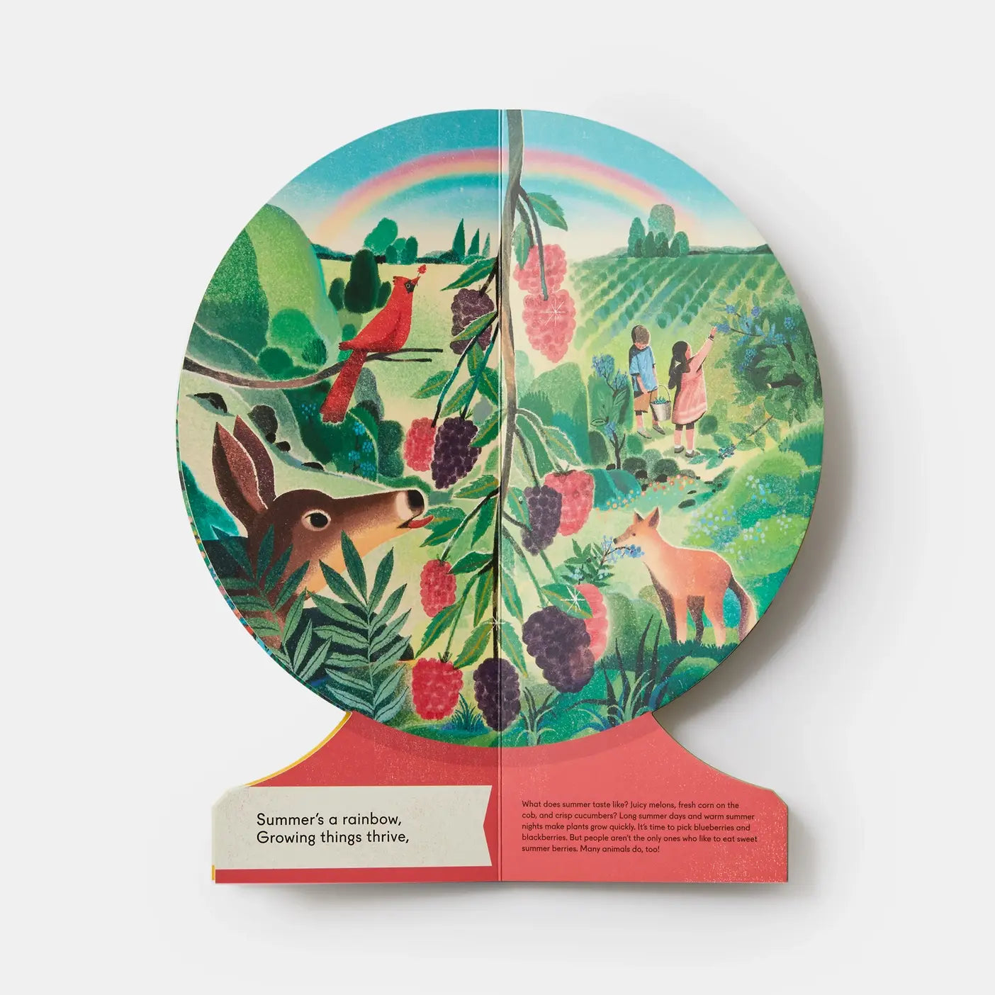 Our Seasons: The World In Winter, Spring, Summer, and Autumn